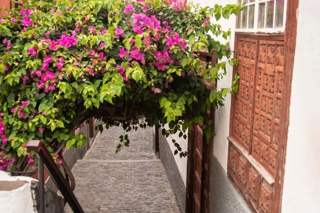 Salsalitre Chico Apartment Garachico  Spain